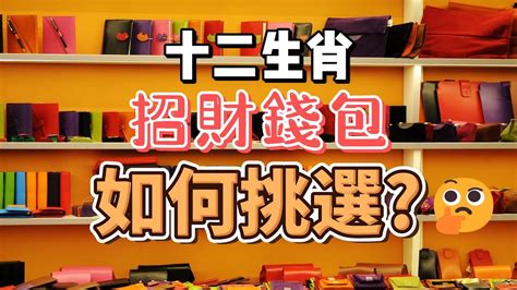 開運錢包顏色 狐狸面相